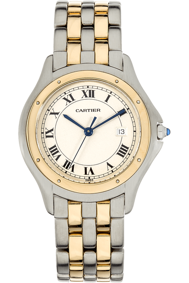 Cougar Yellow Gold and Stainless Steel Quartz