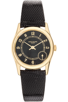 Patek philippe under 5000 best sale