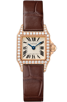 Santos Demoiselle
