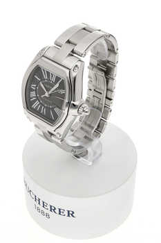 Roadster Stainless Steel Automatic