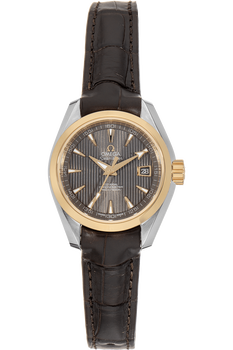Seamaster Aqua Terra Co-Axial Yellow Gold and Stainless Steel Automatic