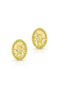 Oval Cut Yellow Diamond Halo Studs in Yellow Gold