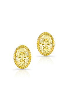 Oval Cut Yellow Diamond Halo Studs in Yellow Gold