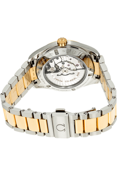 Aqua Terra Master Yellow Gold and Stainless Steel Automatic