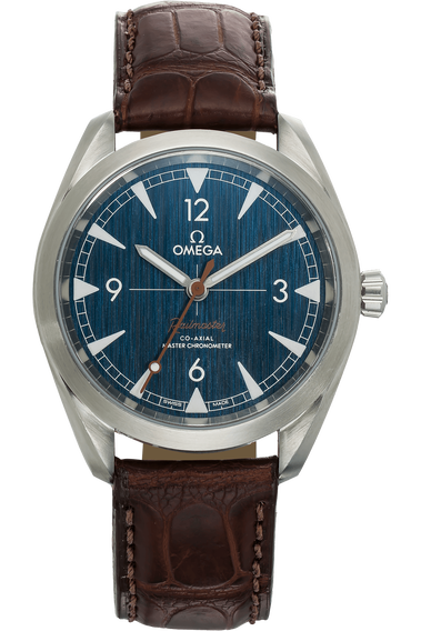 Seamaster Railmaster Co-Axial Stainless Steel Automatic