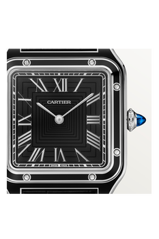 Santos-Dumont, Large Model