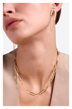 Link Earrings