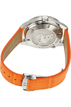 Seamaster Planet Ocean Big Size Stainless Steel Automatic