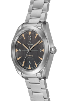 Railmaster Co-Axial Master Chronometer Stainless Steel Automatic