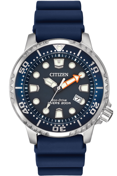 Promaster Diver