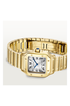 Santos de Cartier, Small Model