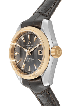 Seamaster Aqua Terra Co-Axial Yellow Gold and Stainless Steel Automatic