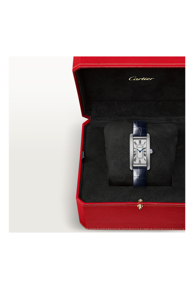 Tank Am&eacute;ricaine, Small Model