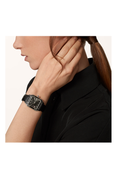 Santos-Dumont, Large Model