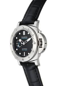 Submersible Stainless Steel Automatic