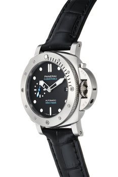 Submersible Stainless Steel Automatic