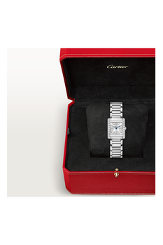 Tank Fran&ccedil;aise, Small Model