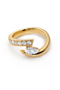 Inner Fire Ring