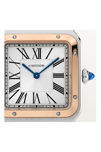 Santos-Dumont, Large Model