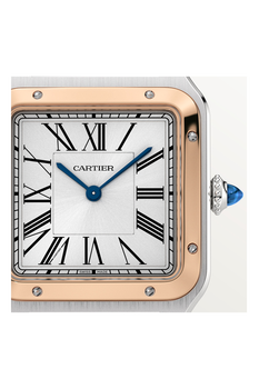 Santos-Dumont, Large Model