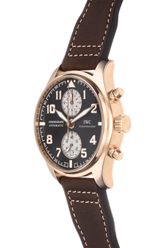 Pilot&#39;s Antoine De Saint Exupery Limited Edition Rose Gold Automatic