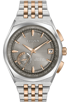 Satellite Wave World Time