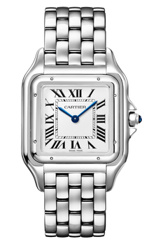 Panth&egrave;re de Cartier, Steel, Large
