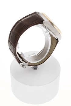 Constellation Globemaster Co-Axial Yellow Gold and Stainless Steel Automatic