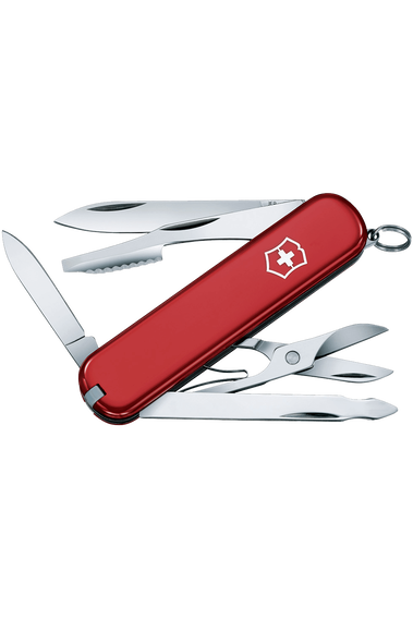 Swiss army executive 2025
