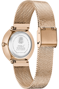 Citizen L Ambiluna