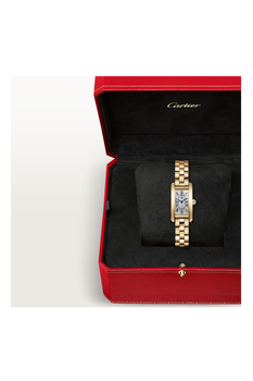 Tank Am&eacute;ricaine, Mini Model