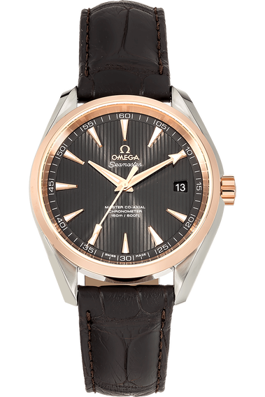 Aqua Terra Master Co-Axial Stainless Steel Automatic