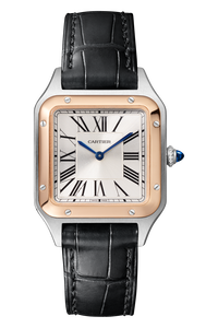 Santos-Dumont, Small Model