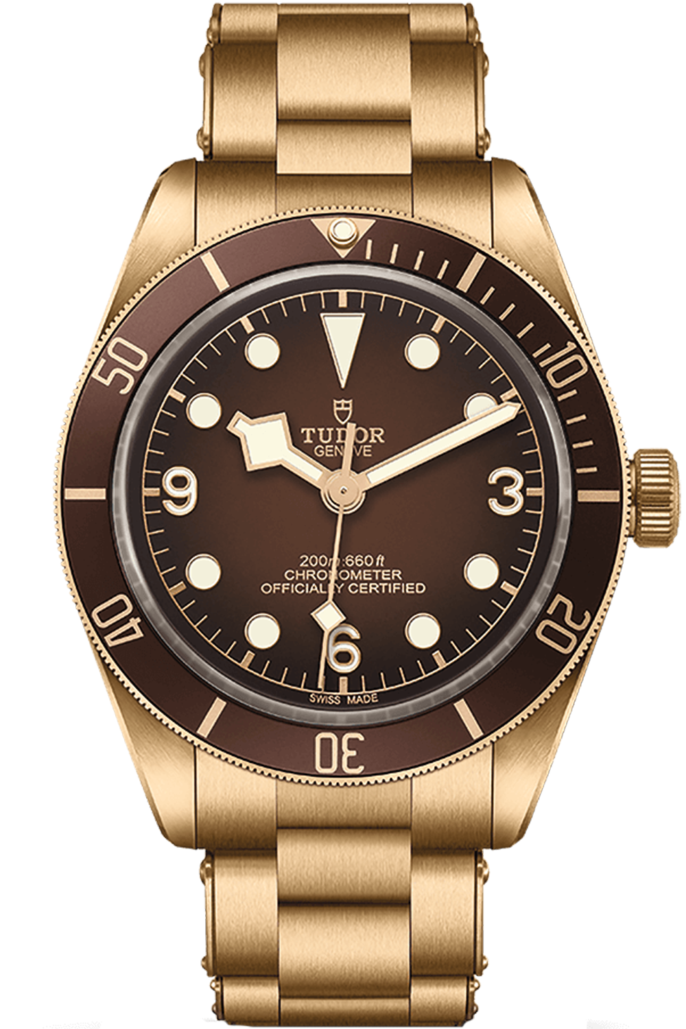 Tudor website top