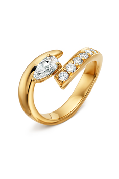 Inner Fire Ring