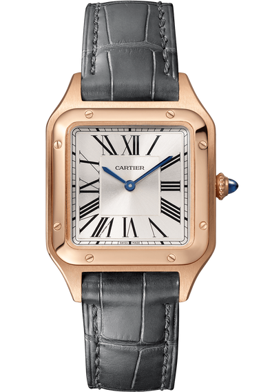 Santos-Dumont, Small Model