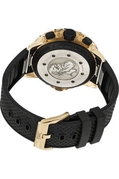 Aquatimer Chronograph Expedition Charles Darwin Bronze Automatic