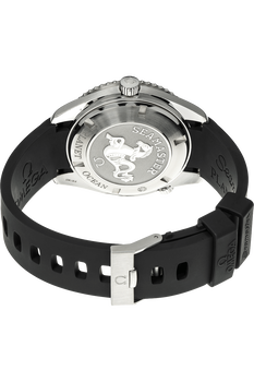 Seamaster Planet Ocean Big Size Stainless Steel Automatic