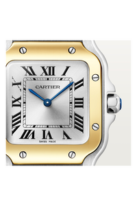 Santos de Cartier