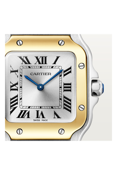 Santos de Cartier