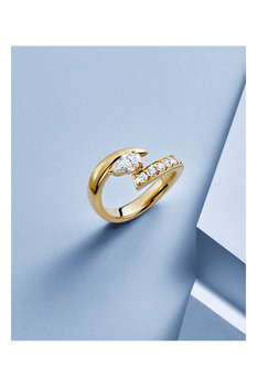 Inner Fire Ring