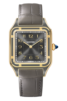 Santos-Dumont, Large Model