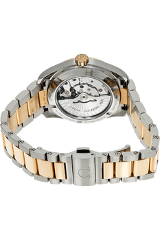 Seamaster Aqua Terra Yellow Gold and Stainless Steel Automatic