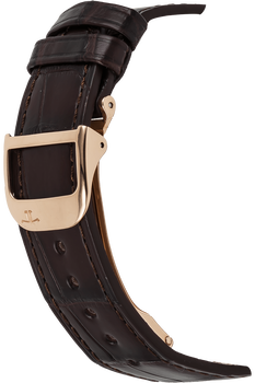 Master Control Geographic Rose Gold Automatic