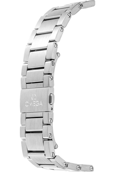 Railmaster Co-Axial Master Chronometer Stainless Steel Automatic