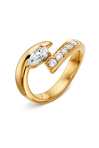 Inner Fire Ring Inner Fire Ring