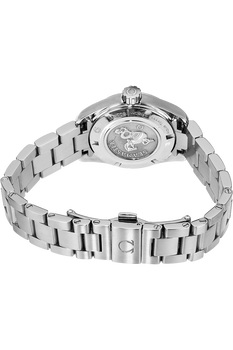 Seamaster Aqua Terra Stainless Steel Quartz