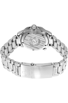 Seamaster Stainless Steel Quartz