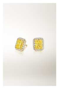 Joy Earrings 3.35 ct.