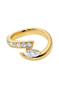 Inner Fire Ring